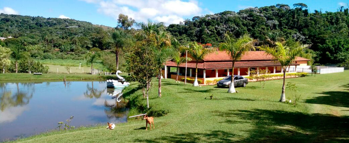 Instituto Pagani